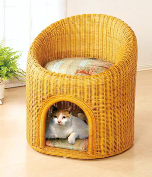 Мой Доменик))