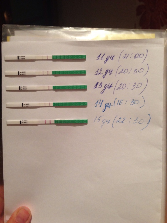 Это уже она?