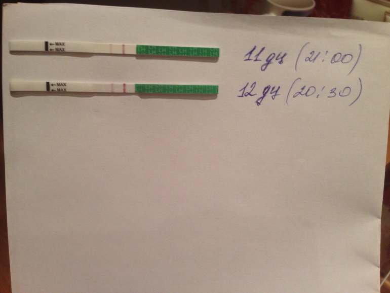 12 дц , вроде ярчают что скажете?