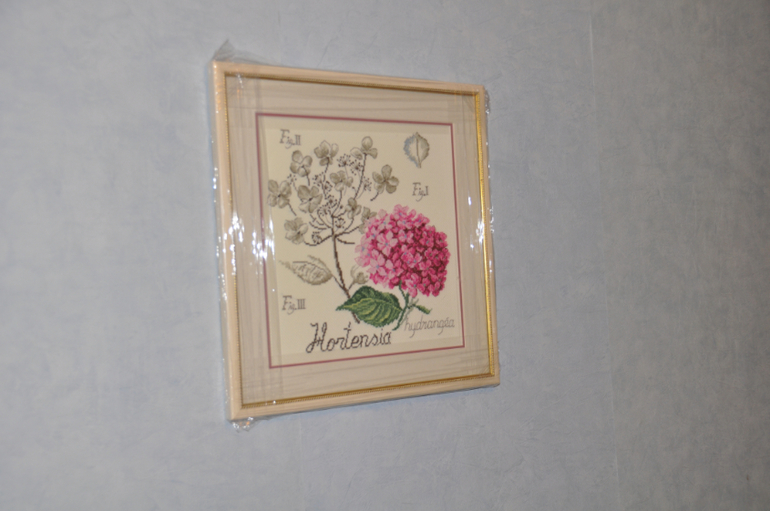 Гортензия - ботаника от DFEA.