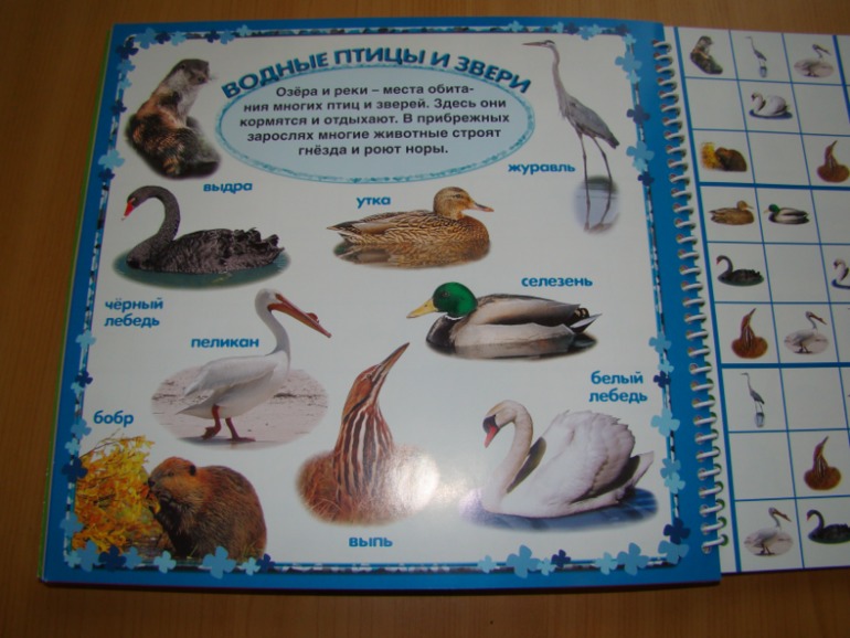 САФАРИ СУДОКУ ДЛЯ ДЕТЕЙ.