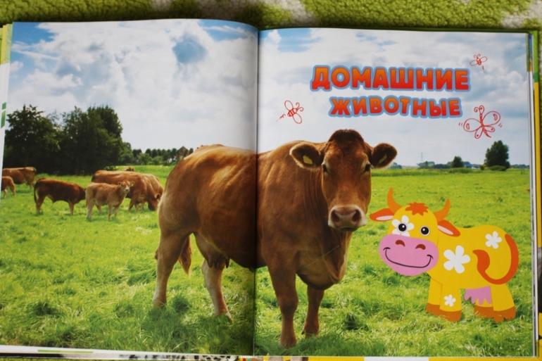 Энциклопедия животных для малышей