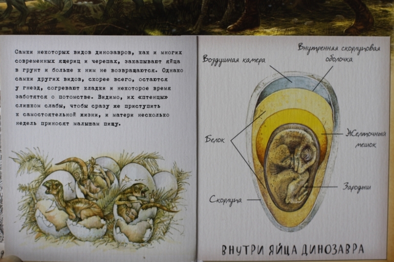 Динозавроведение. Поиски затерянного мира