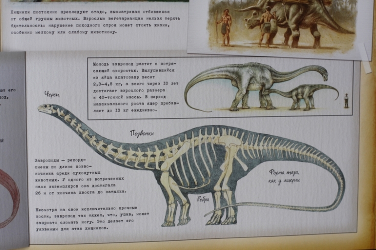 Динозавроведение. Поиски затерянного мира