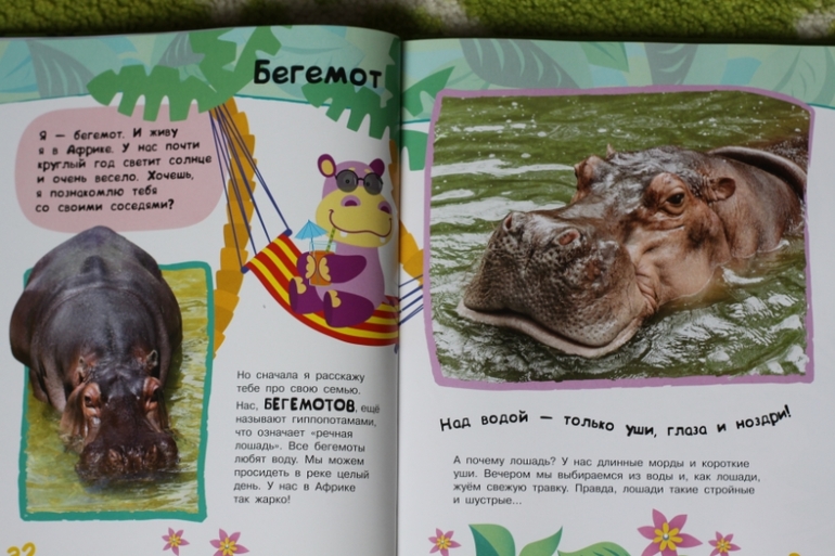 Энциклопедия животных для малышей