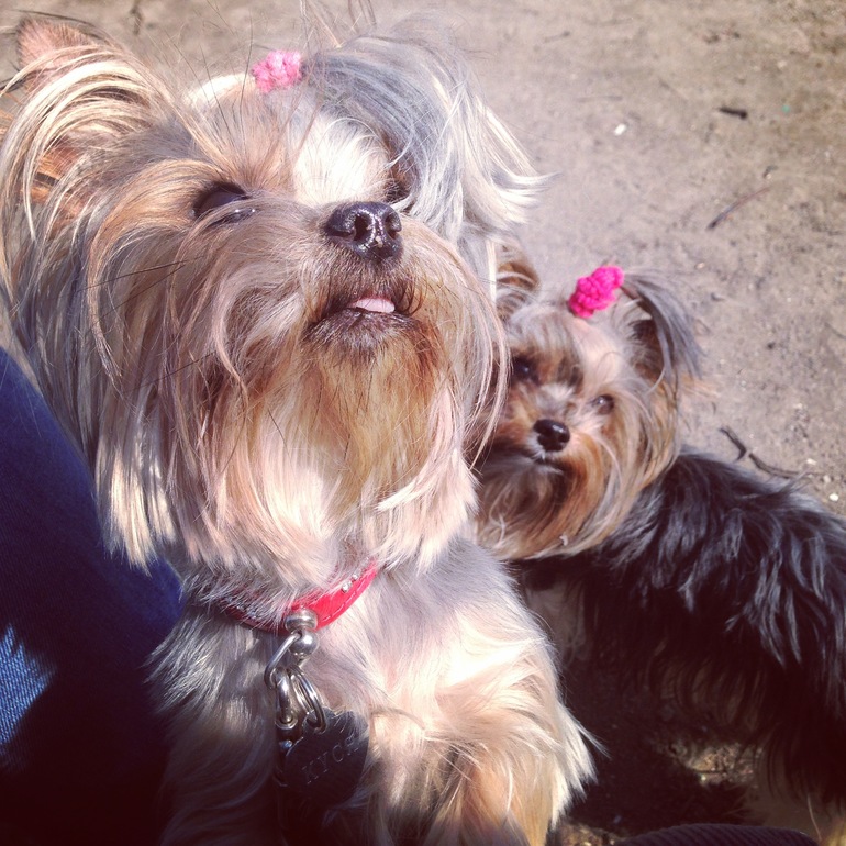 Прогулочное!))