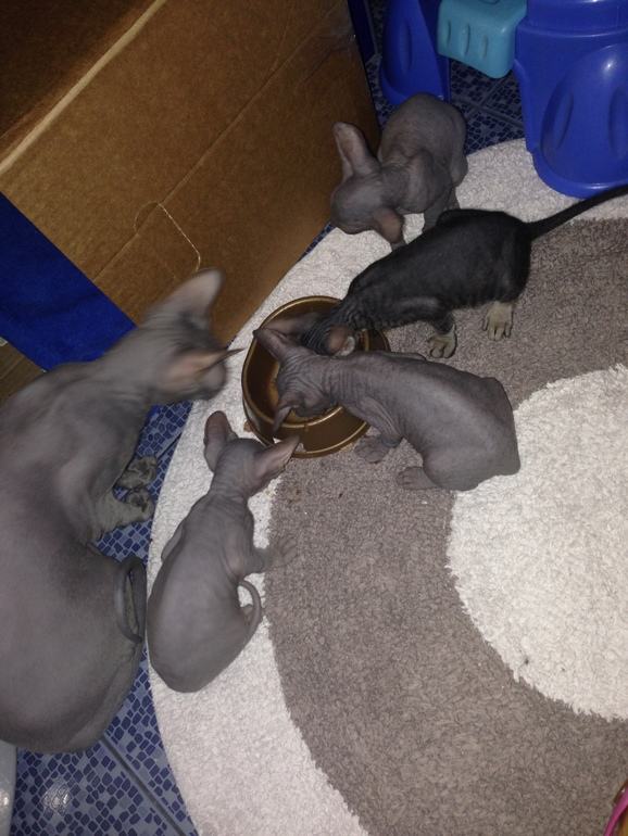 1,5 Мес малышне!!)))