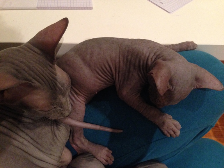 1,5 Мес малышне!!)))