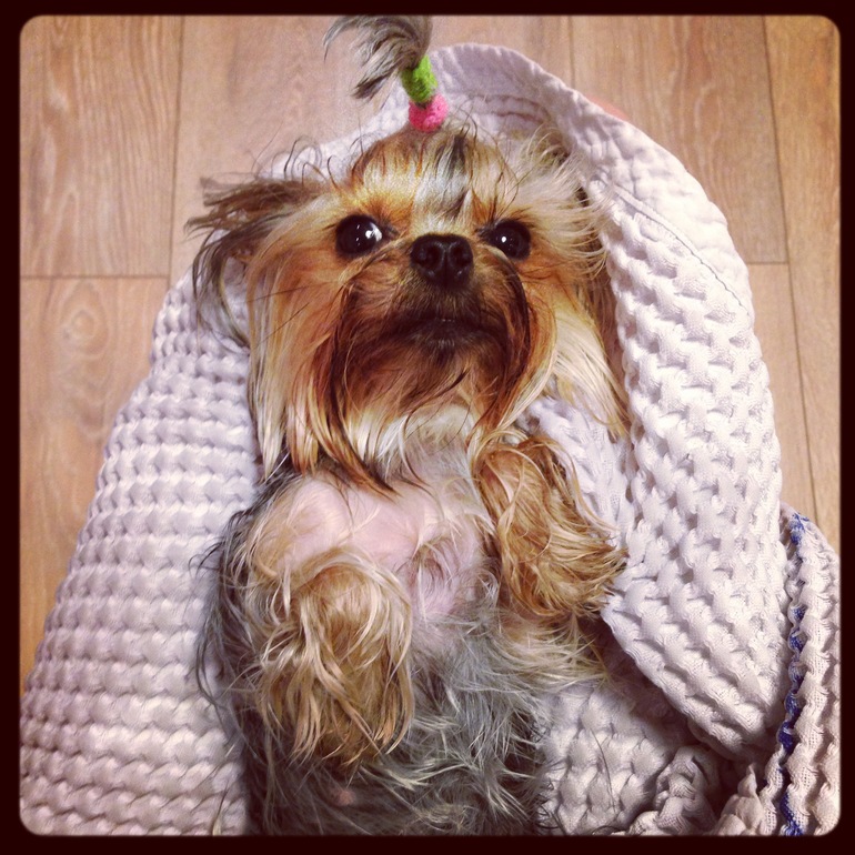 Прогулочное!))