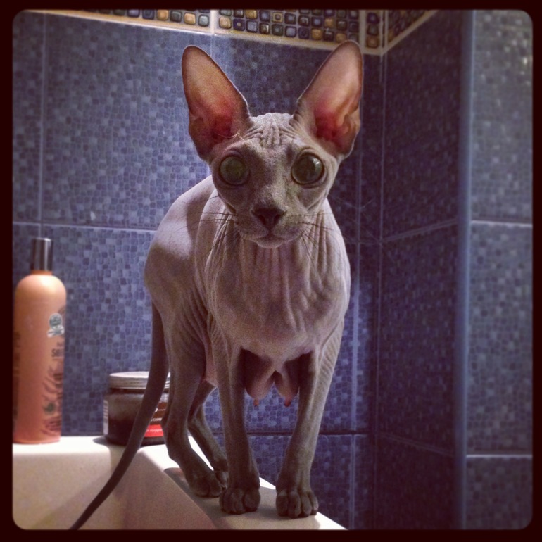 1,5 Мес малышне!!)))