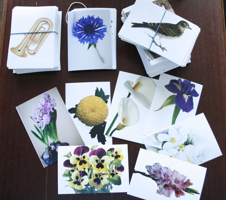 Наши занятия