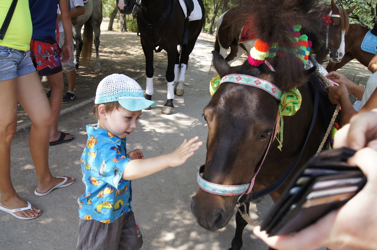 Крым 2013.Прогулка по Севастополю.