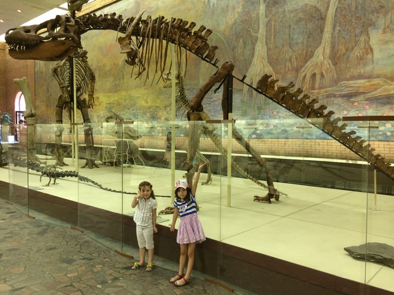 Палеонтологический музей динозавры