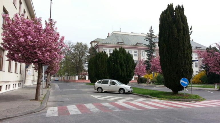 Пиештяны (Словакия). Велосипедные зарисовки.