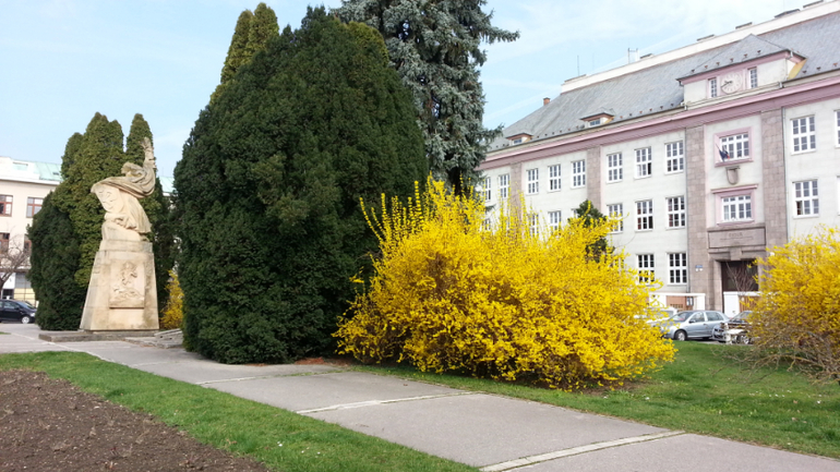 Пиештяны (Словакия). Велосипедные зарисовки.