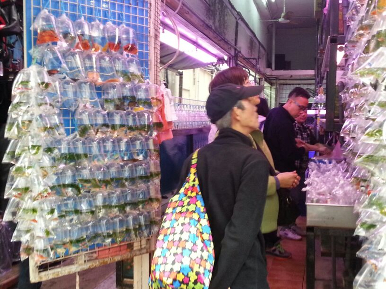 Гонконг с детьми