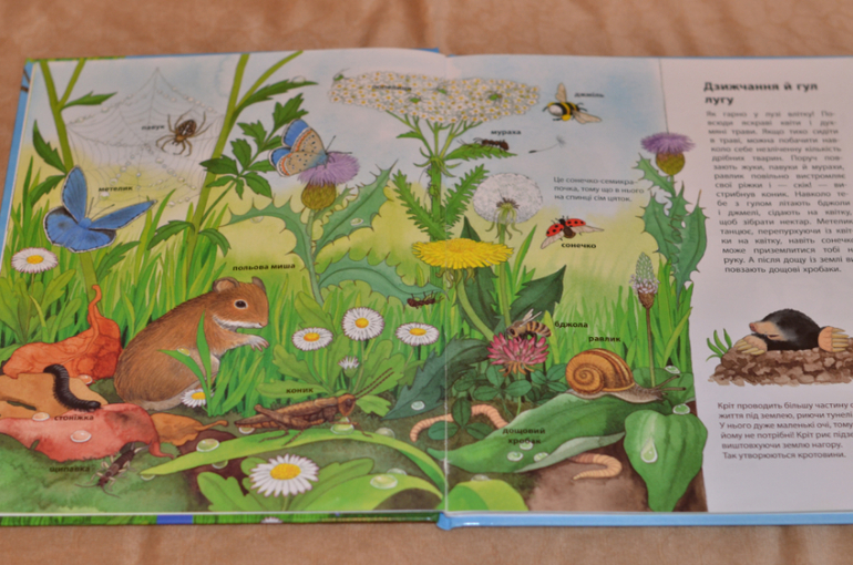 Бюджетные смотрелки от Ранка