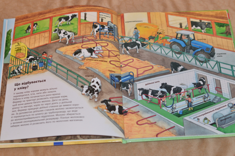 Бюджетные смотрелки от Ранка