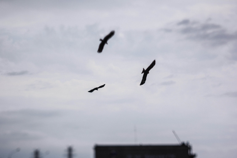 Фото-зарисовки