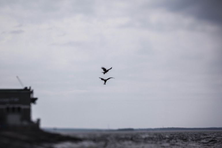 Фото-зарисовки