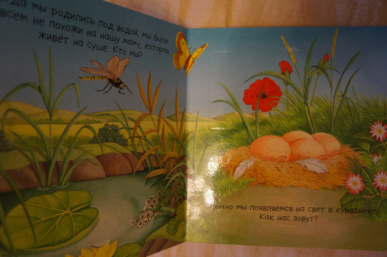 Наши книжки на 8 - 12 мес. - картонная часть