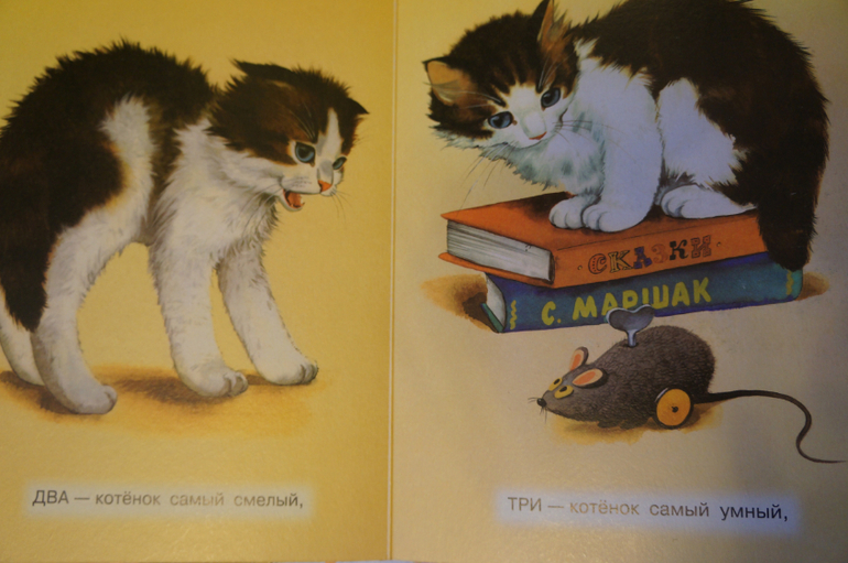 Наши книжки на 8 - 12 мес. - картонная часть