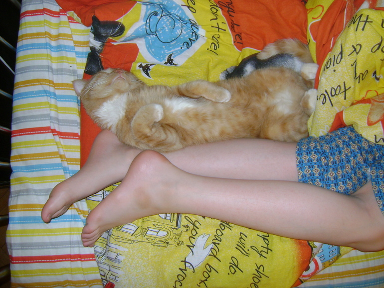 Вот так спит моё любимое Котэ!