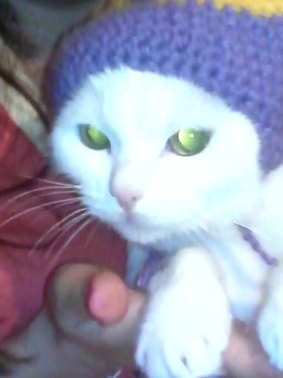 комплектик) первая моя работа)