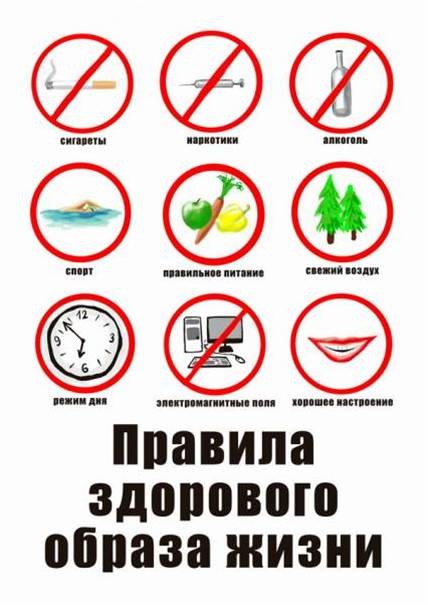ЗОЖ (здоровый образ жизни)