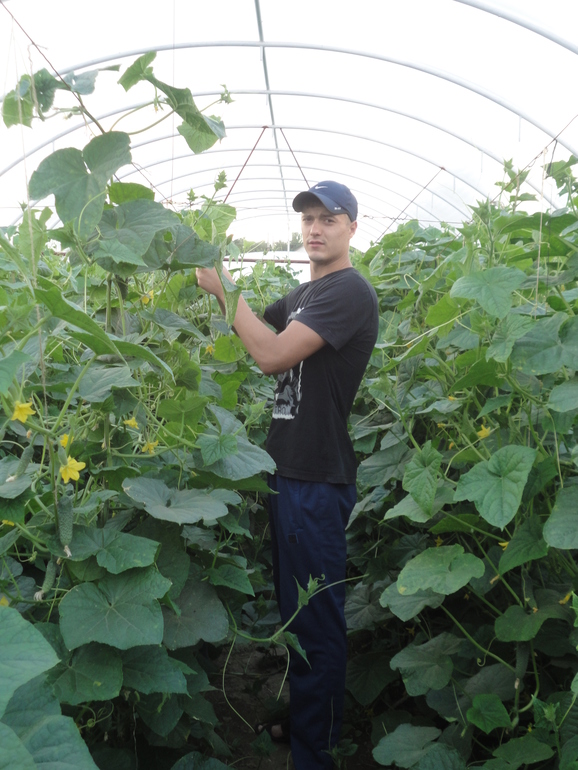 Прогулка ..)