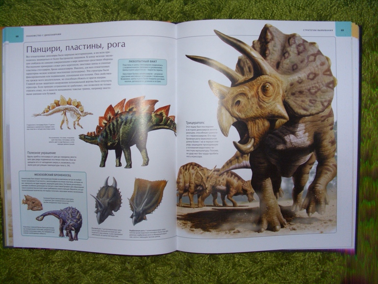 Последняя четверть ?))