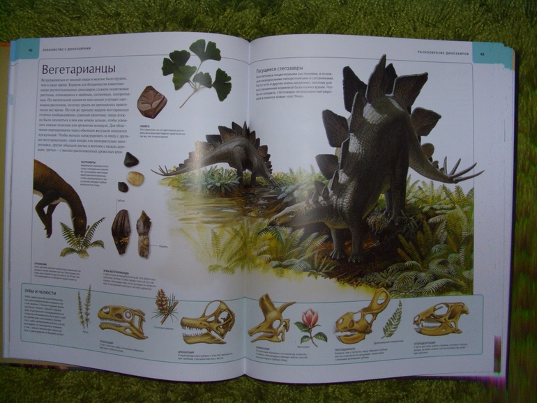 Последняя четверть ?))