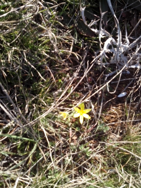 тянет на природу-)