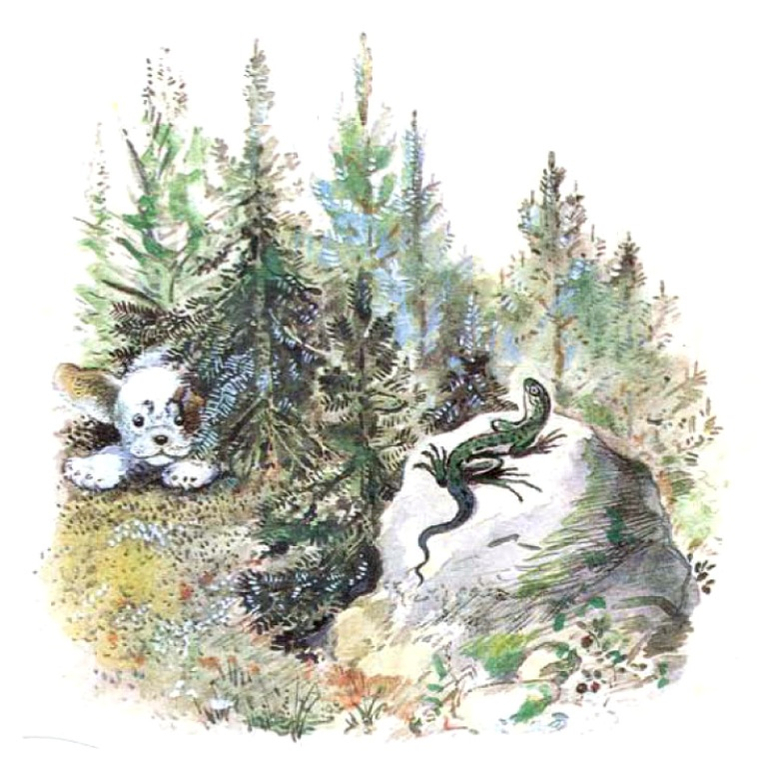 Ваши любимые иллюстраторы