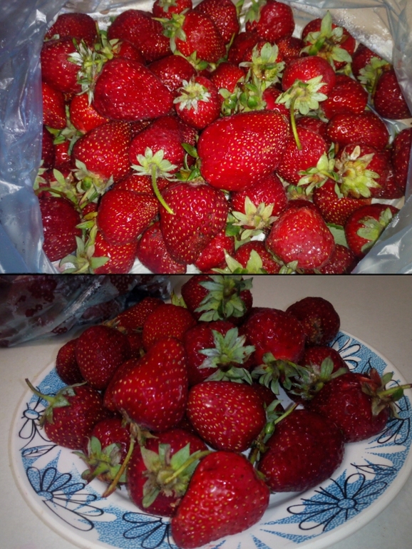 35 недель и наши новости+ФОТО ;)