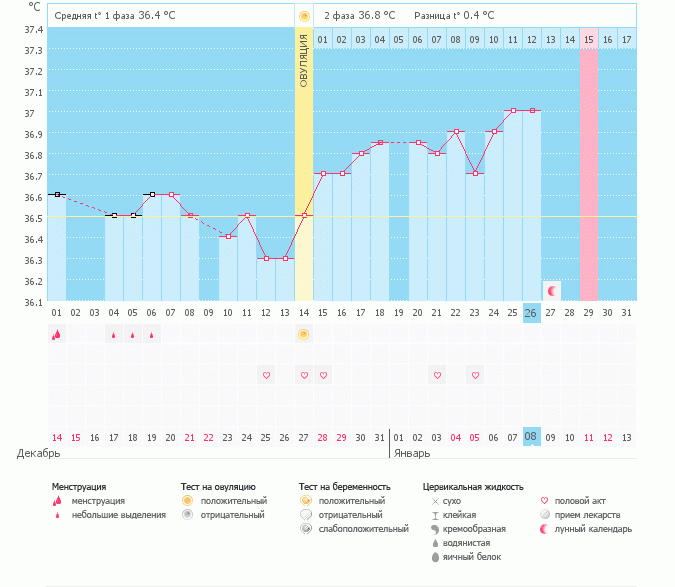 Что скажите, девочки?