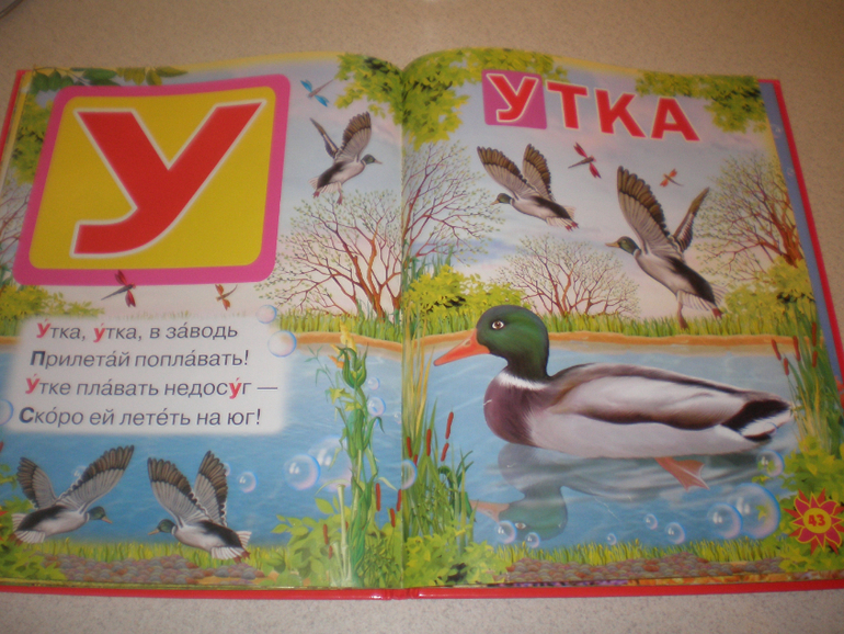 Наши книжечки 1 год и 1 месяц.