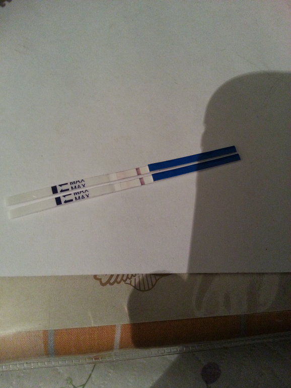 Повторила тест.