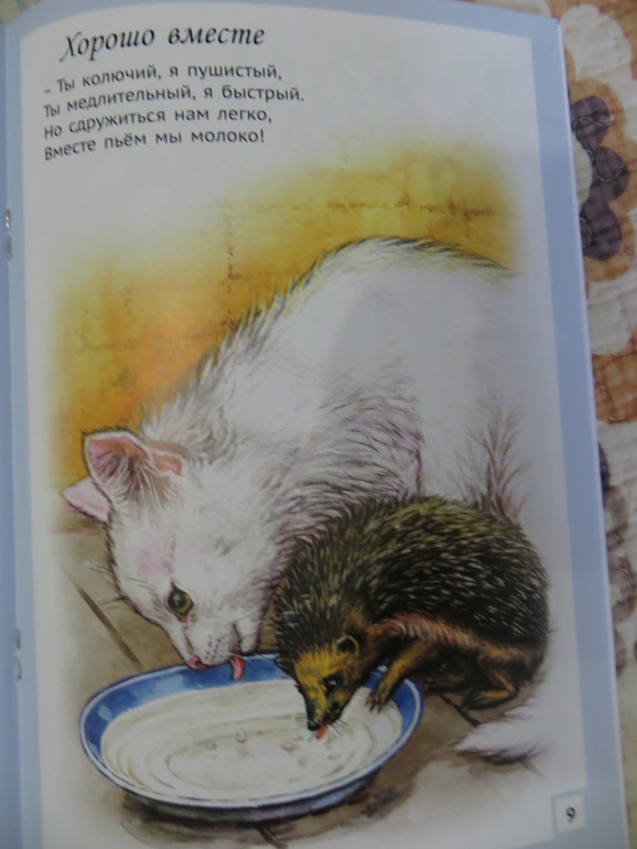 бюджетное поплнение апреля