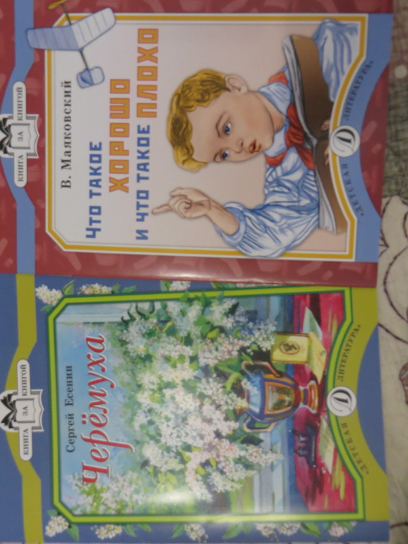 бюджетное поплнение апреля