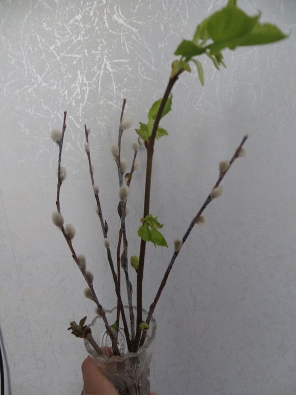 ФМ Пасхальные игры (отчет)