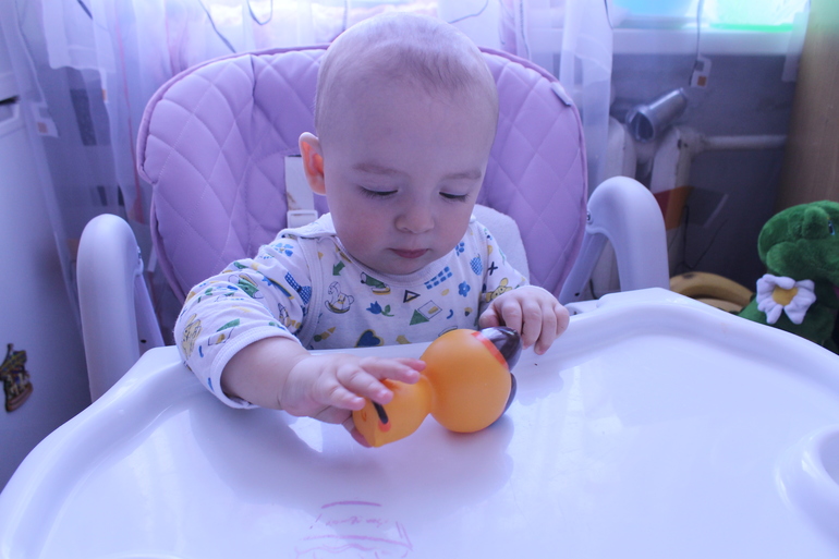 ТН Лучшие друзья человека. Кошка день 1