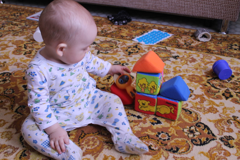 ТН Лучшие друзья человека. Кошка день 1