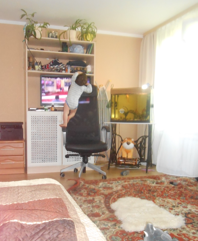 Хроника после года))