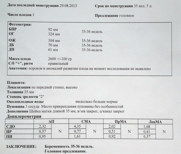 УЗИ 35-36 неделя!