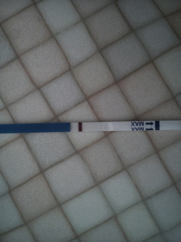 Сегодня день Х.помоему ничего нет