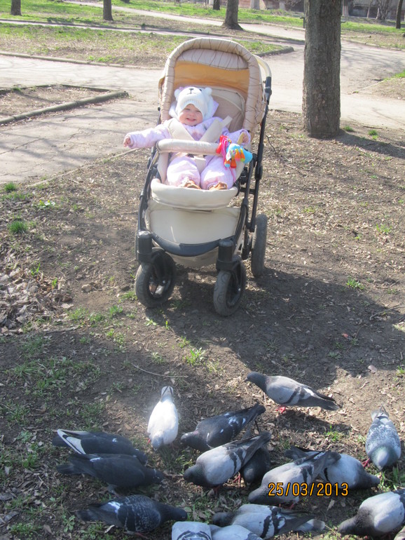 Весенняя прогулка