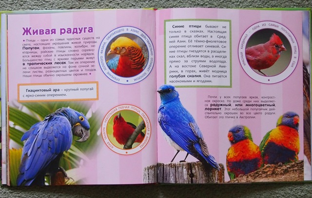 Наша скромная библиотека. Часть 1.