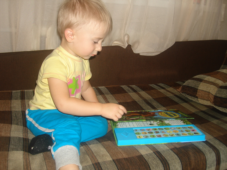 ТД Как живут белки зимой