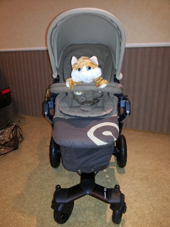 Concord Neo 2013 brown или дошли все же руки до написания обзора.